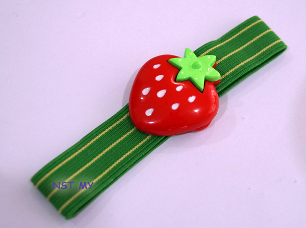 Strawberry Bento Strap